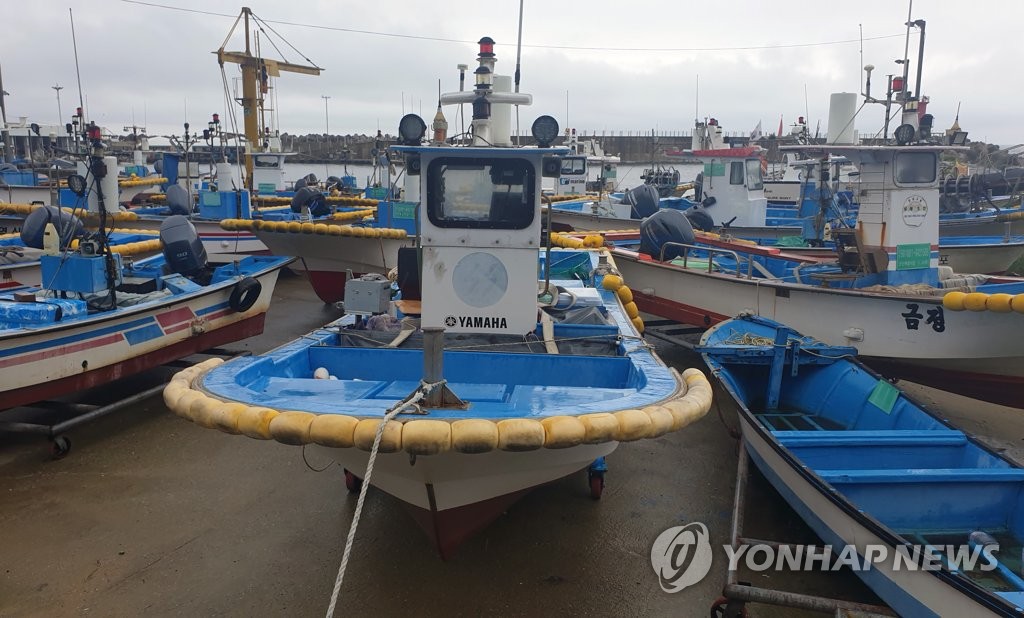 9月2日，在江原道江陵市的一港口，随着今年第9号台风“美莎克”的临近，大批渔船上岸避险。 韩联社