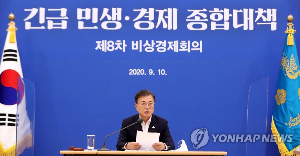 9月10日，在青瓦台，韩国总统文在寅主持召开第8次紧急经济会议。 韩联社