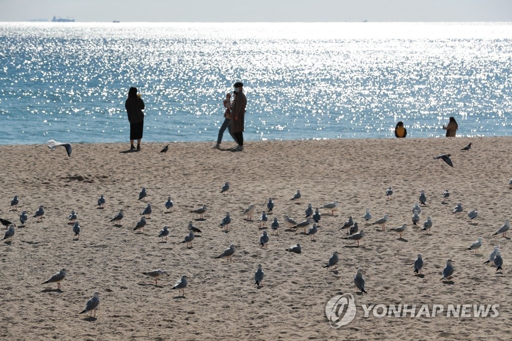 近10年韩国海平面上升速率加快