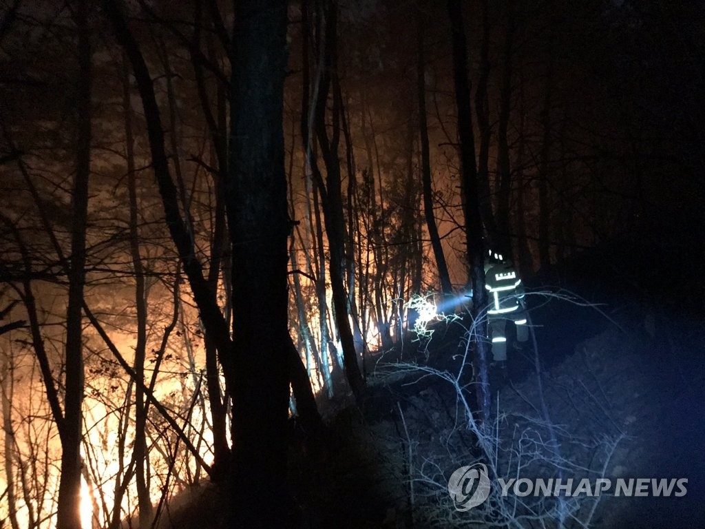 韩国东南地区多地发生森林火灾