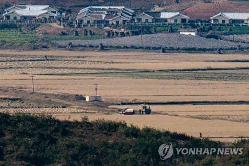 统计：朝鲜去年水稻种植面积同比增0.6%