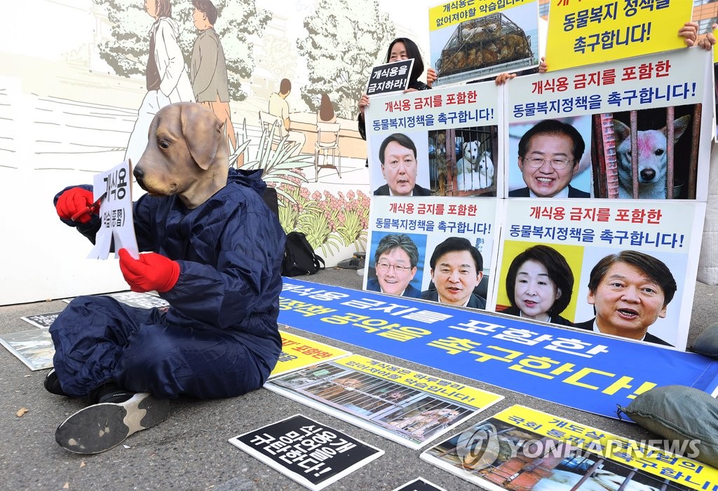 民调：近五成韩国民众反对政府立法禁食狗肉