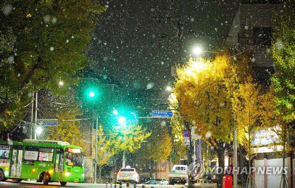 11月10日，在首尔市江北区水逾洞，天降小雪。 韩联社