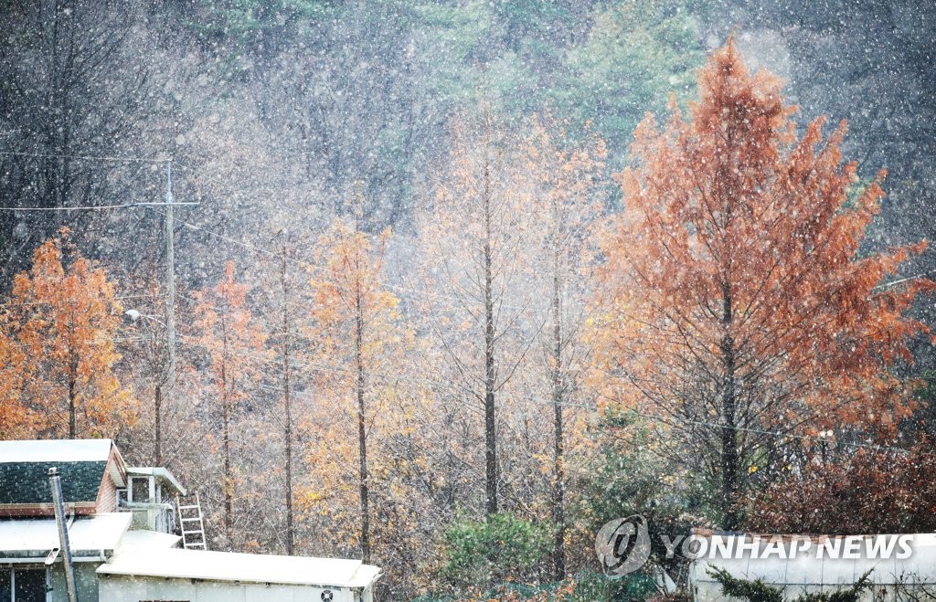 韩中部地区今夜起出现强降雪天气