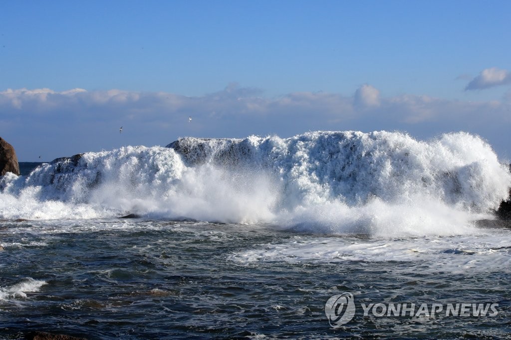 资料图片：江原道束草海岸掀起巨浪。 韩联社