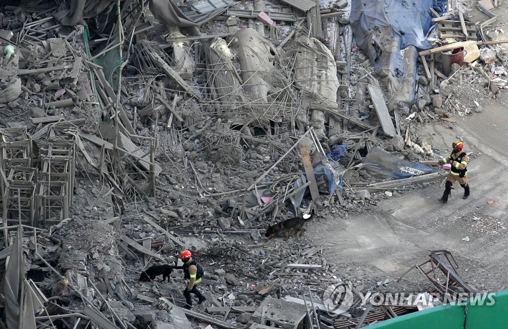 资料图片：1月14日上午，在光州市西区花亭洞，一只搜救犬在发生坍塌事故的在建公寓施工现场搜寻失踪人员。 韩联社