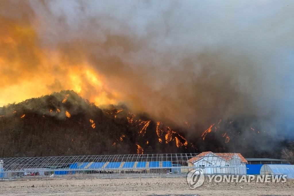 韩东南部发生森林火灾 火势向韩蔚核电站蔓延