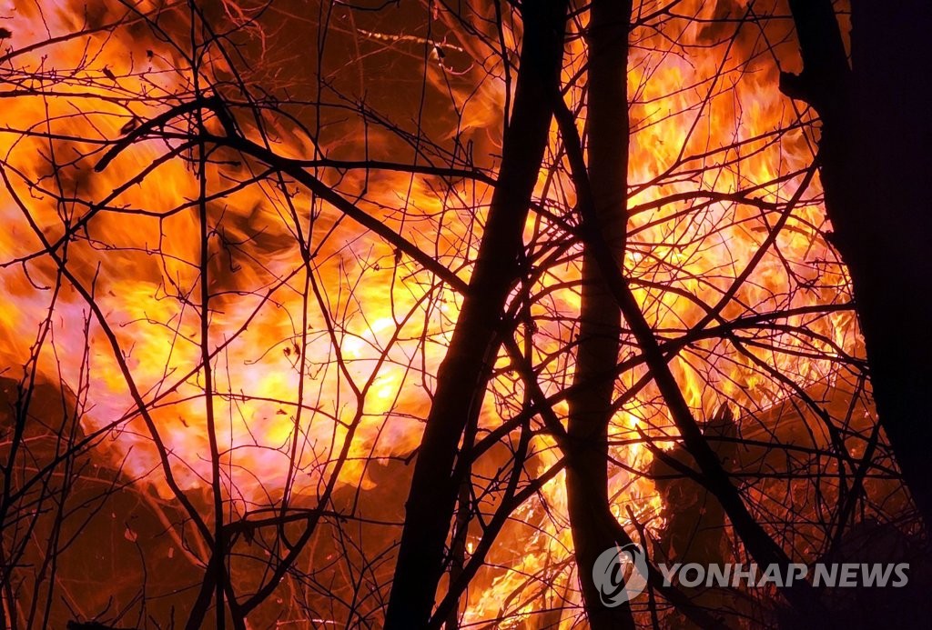 韩东南部山火已蔓延至江原道地区