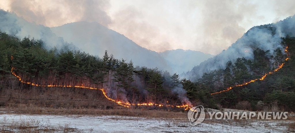 3月6日，在江原道三陟市一座野山，山火持续蔓延。 韩联社/江原道消防本部供图（图片严禁转载复制）