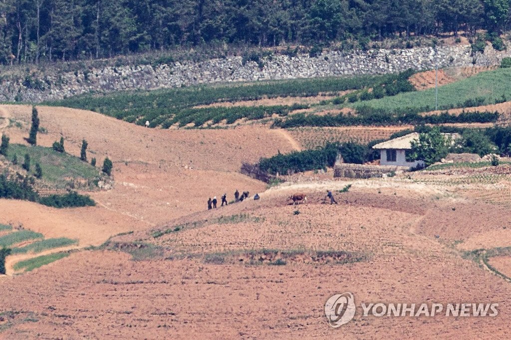 朝鲜农民耕耘