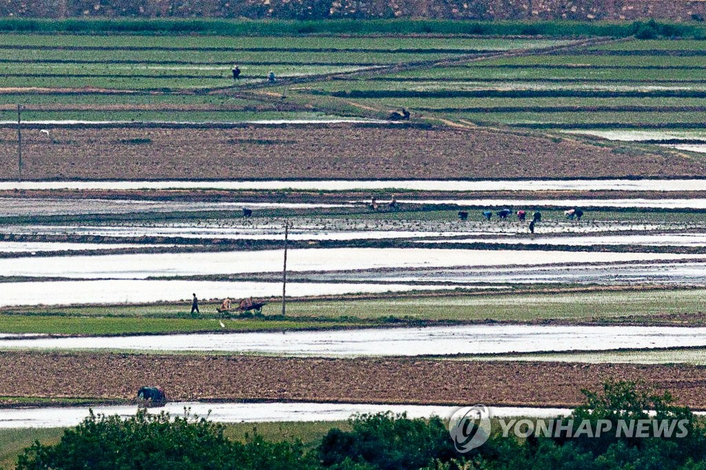 韩智库：朝鲜粮食危机或从年底起加剧