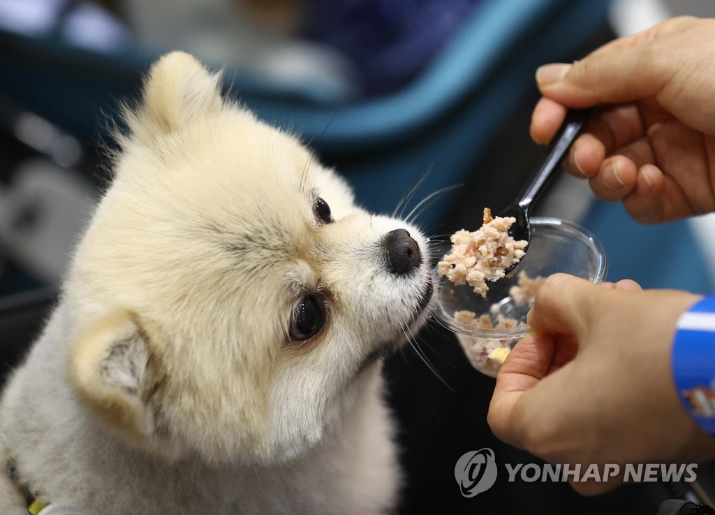调查：韩二成半民众饲养宠物 月均花827元