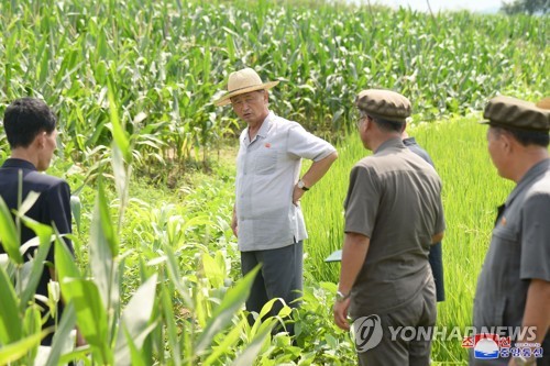 朝鲜总理视察农场
