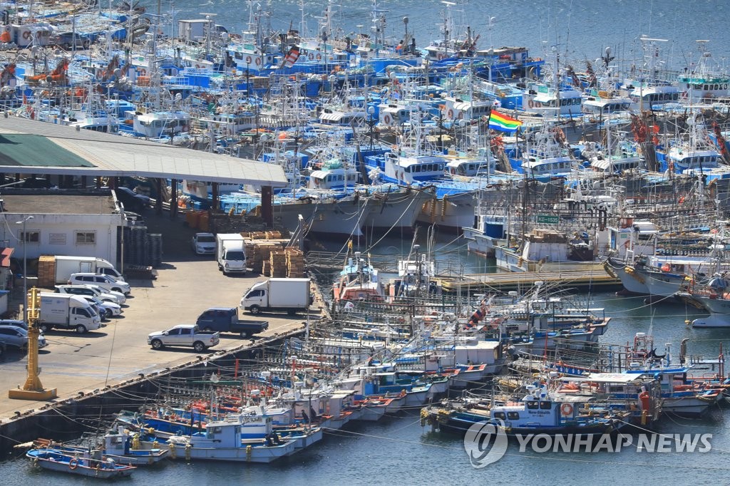 9月18日，在济州道西归浦港，随着今年第14号台风“南玛都”的靠近，大量渔船归港避风。 韩联社