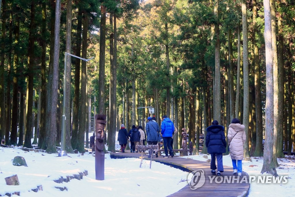 资料图片：游客们在济州的树林中漫步。 韩联社
