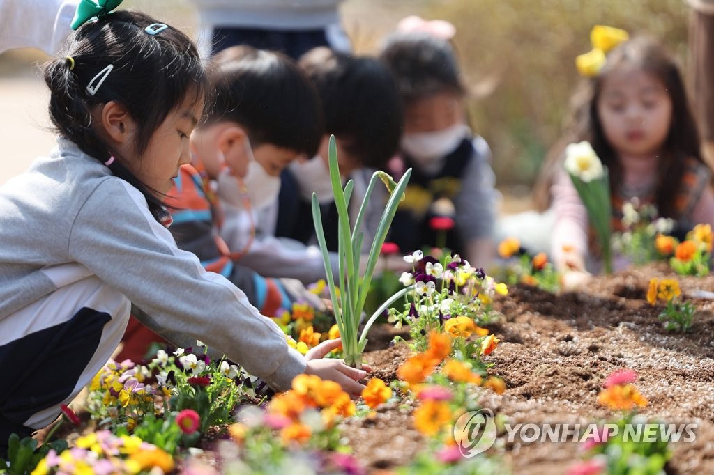 认真种花