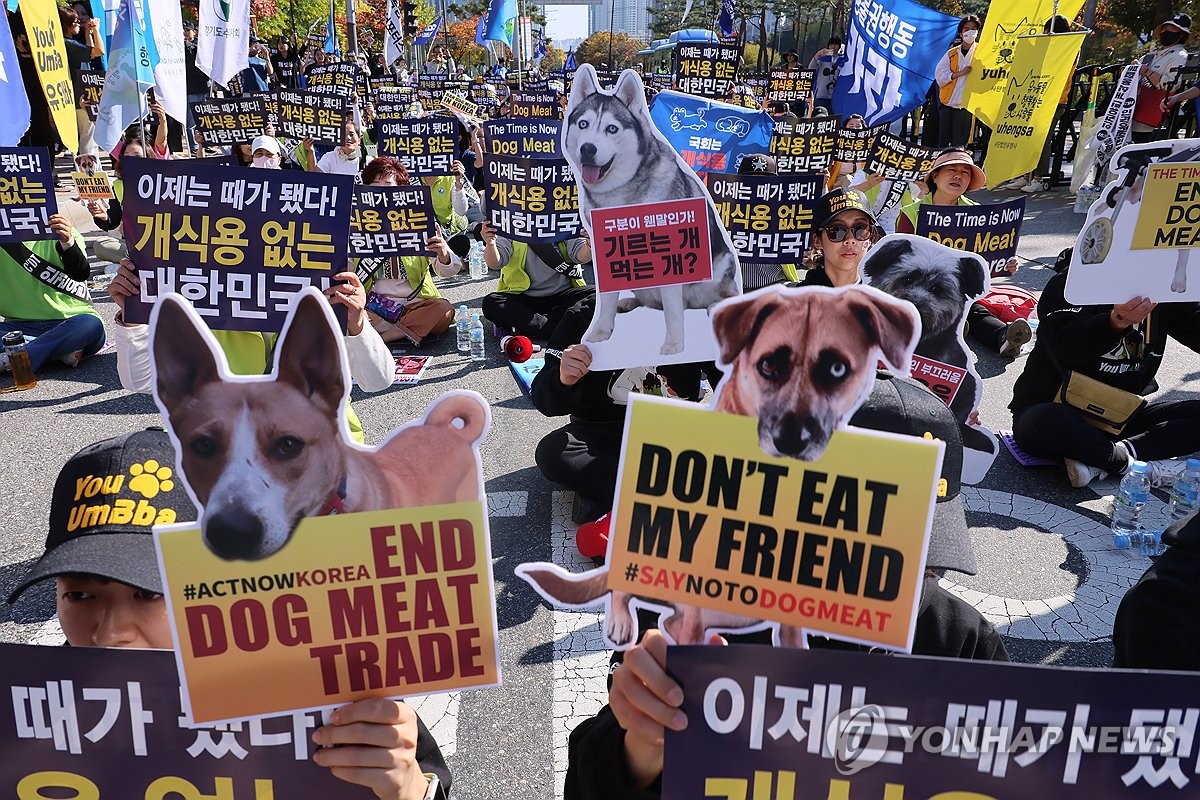 South Korea hopes to cull its dog meat trade, but the tradition will ...