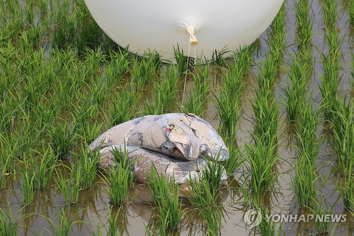 资料图片：6月10日，朝鲜向韩投放的“垃圾气球”落入仁川市江华郡一农田。 韩联社