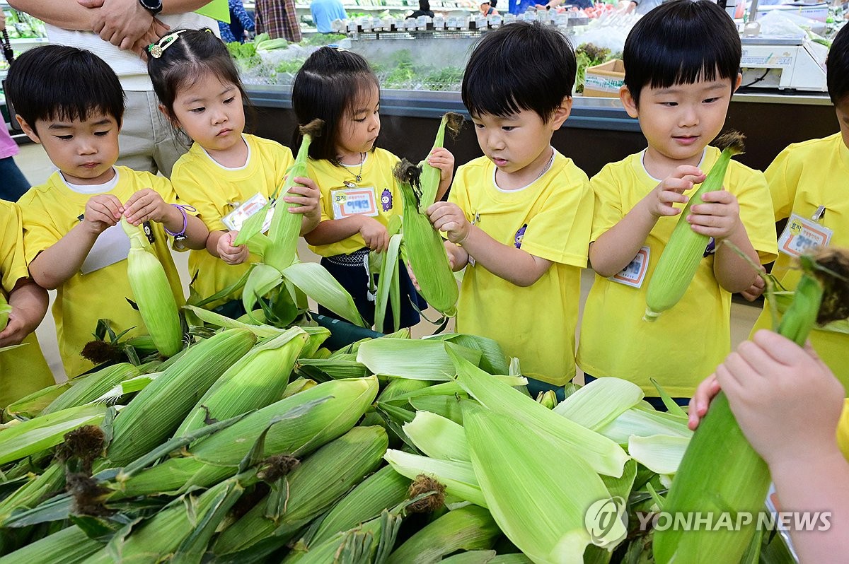 资料图片：小朋友剥玉米。 韩联社/农协流通供图（图片严禁转载复制）