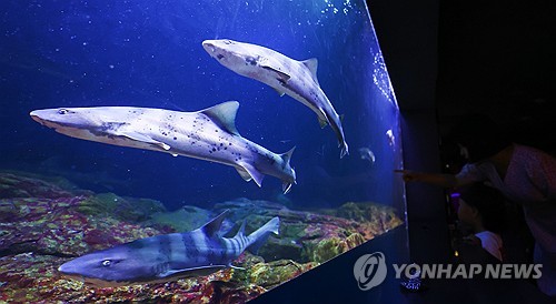 韩国首座水族馆关门停业