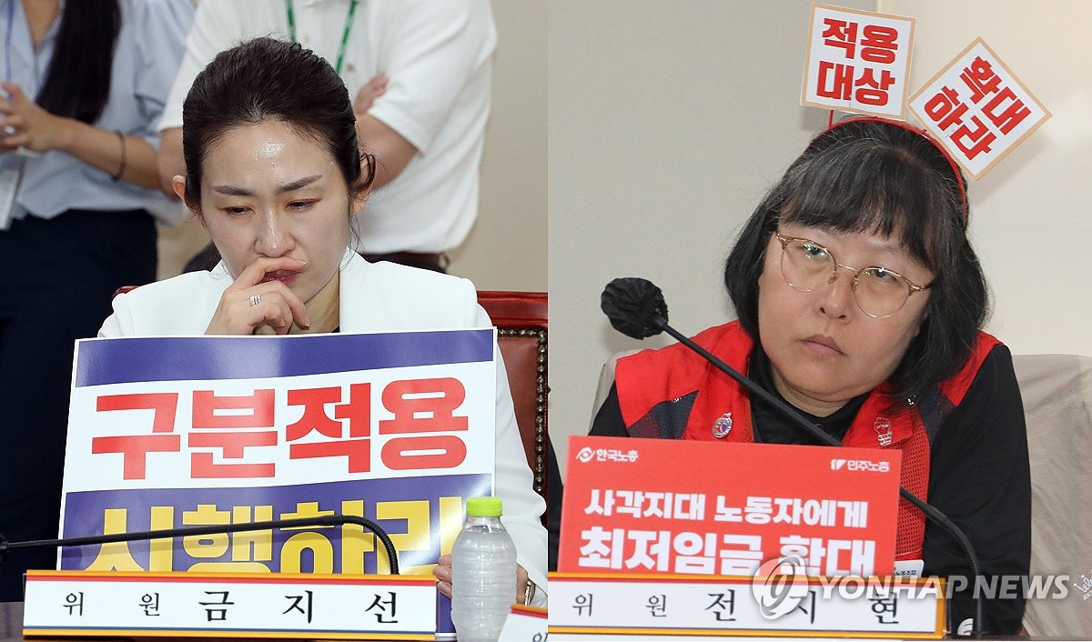 7月2日，在中央政府世宗办公楼最低时薪委员会会议室，最低时薪委员会召开第7次全体会议讨论是否分行业适用最低时薪。 韩联社