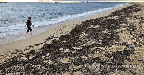 海洋垃圾覆盖海岸