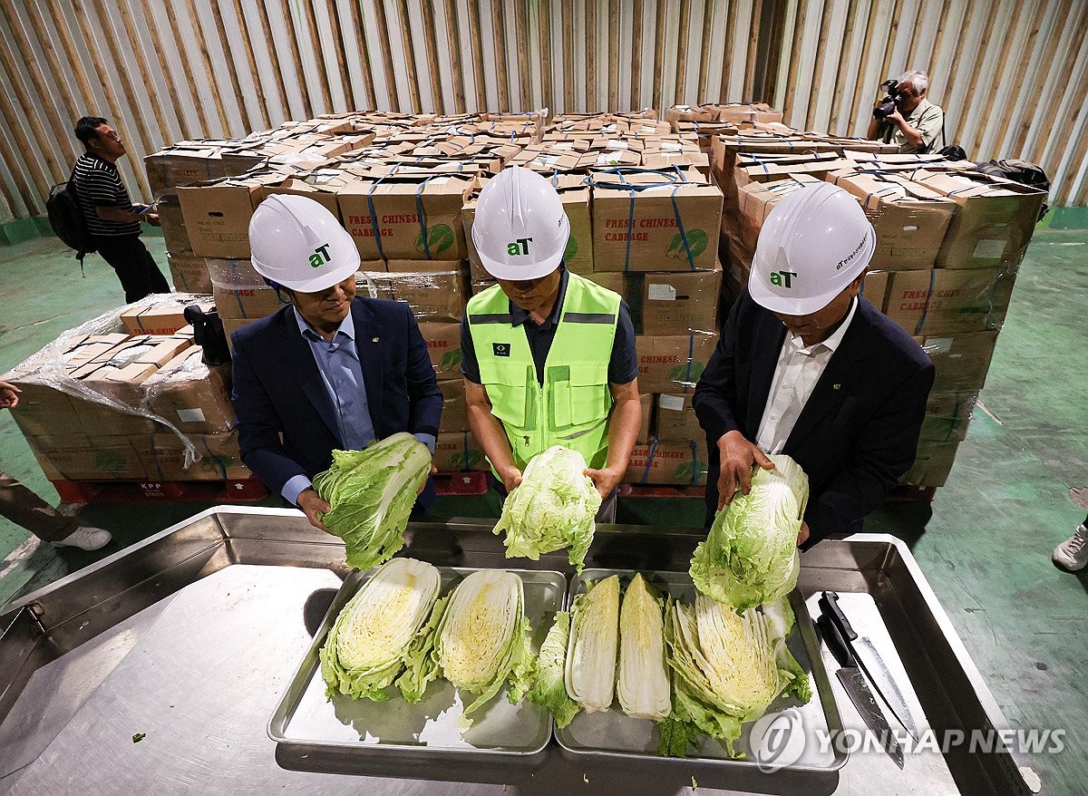 9月30日，在京畿道利川市的韩国农水产食品流通公社利川储备基地，工作人员正对自华进口大白菜进行检查。 韩联社