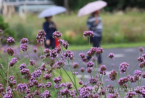 秋雨中漫步