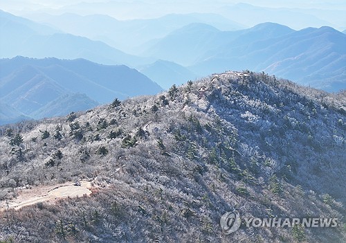 雾凇美景