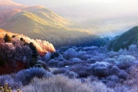 霜降大地勾画美景