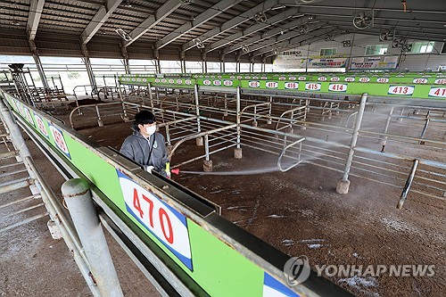 S. Korea confirms additional foot-and-mouth disease case, total at 8