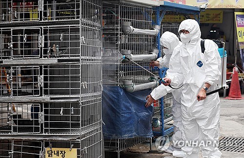 S. Korea suspends poultry imports from Argentina over bird flu outbreak
