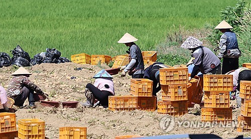 산재사망자 13%는 외국인노동자인데…산업안전훈련 참여율 저조