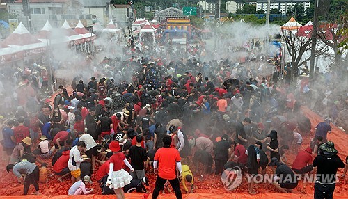 화천토마토축제 방문객 절반 이상 수도권 시민…지역경기 견인
