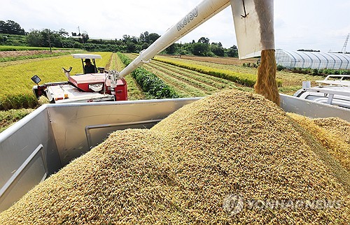 Gov't to supply 25,000 tons of additional rice for price stabilization