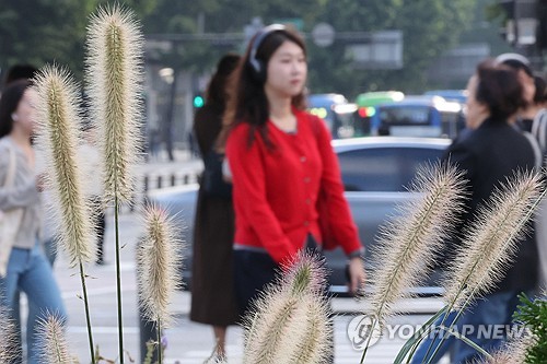 여행/레저 관련 이미지 - 단계