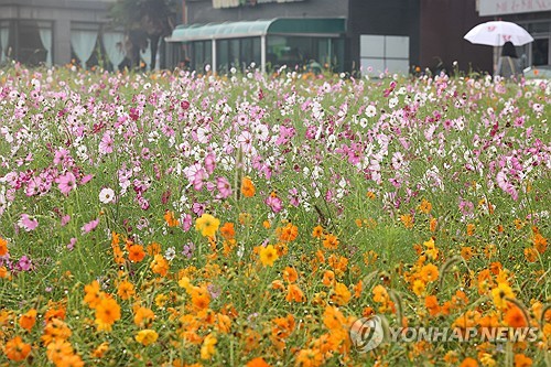 국제 관련 이미지 - 단계