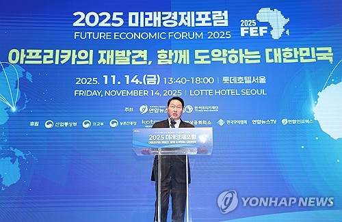 Chey stresses 'soft money' strategy for ties with Africa during Yonhap forum