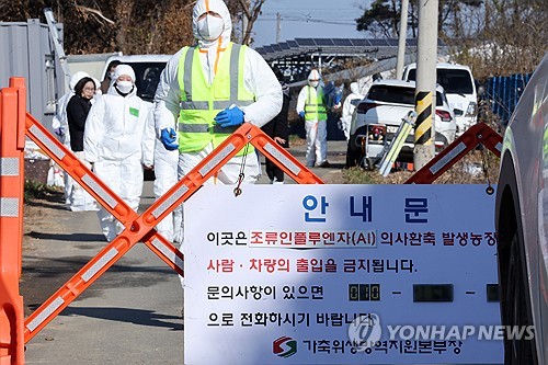 S. Korea confirms 8th highly contagious bird flu case of season